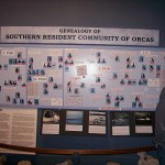 The Whale Museum, Friday Harbor, Washington